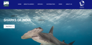 Sharks and Rays of India